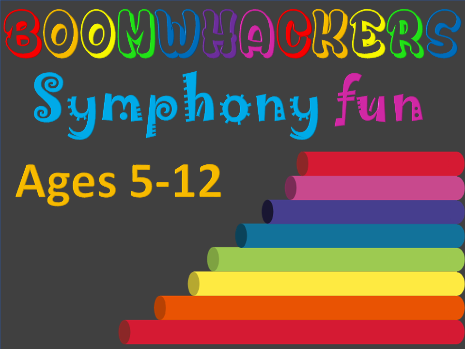 Boomwhackers Symphony Fun ages 5-12