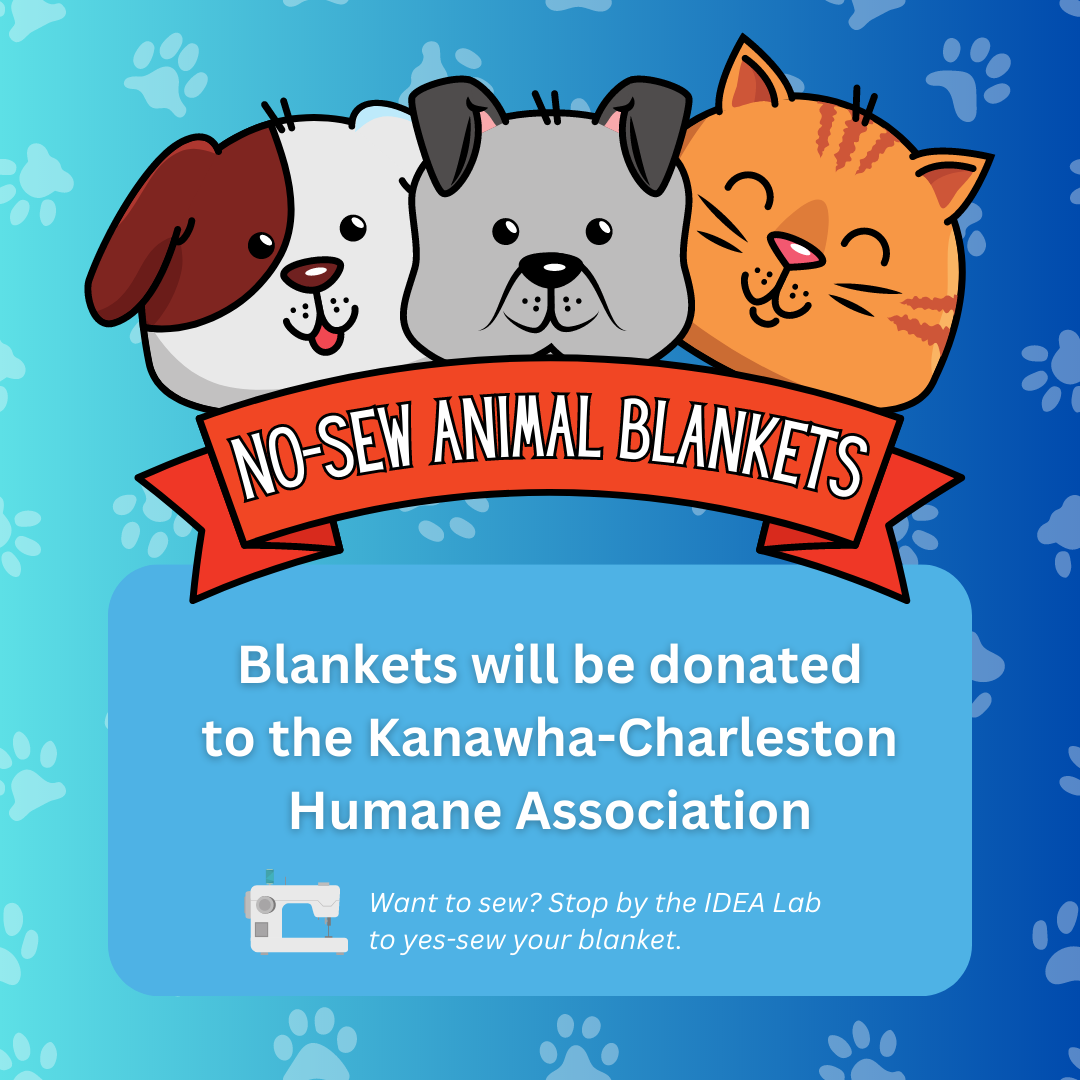 no-sew animal blankets