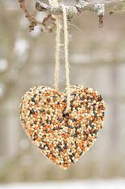Heart shaped bird seed with wintry background