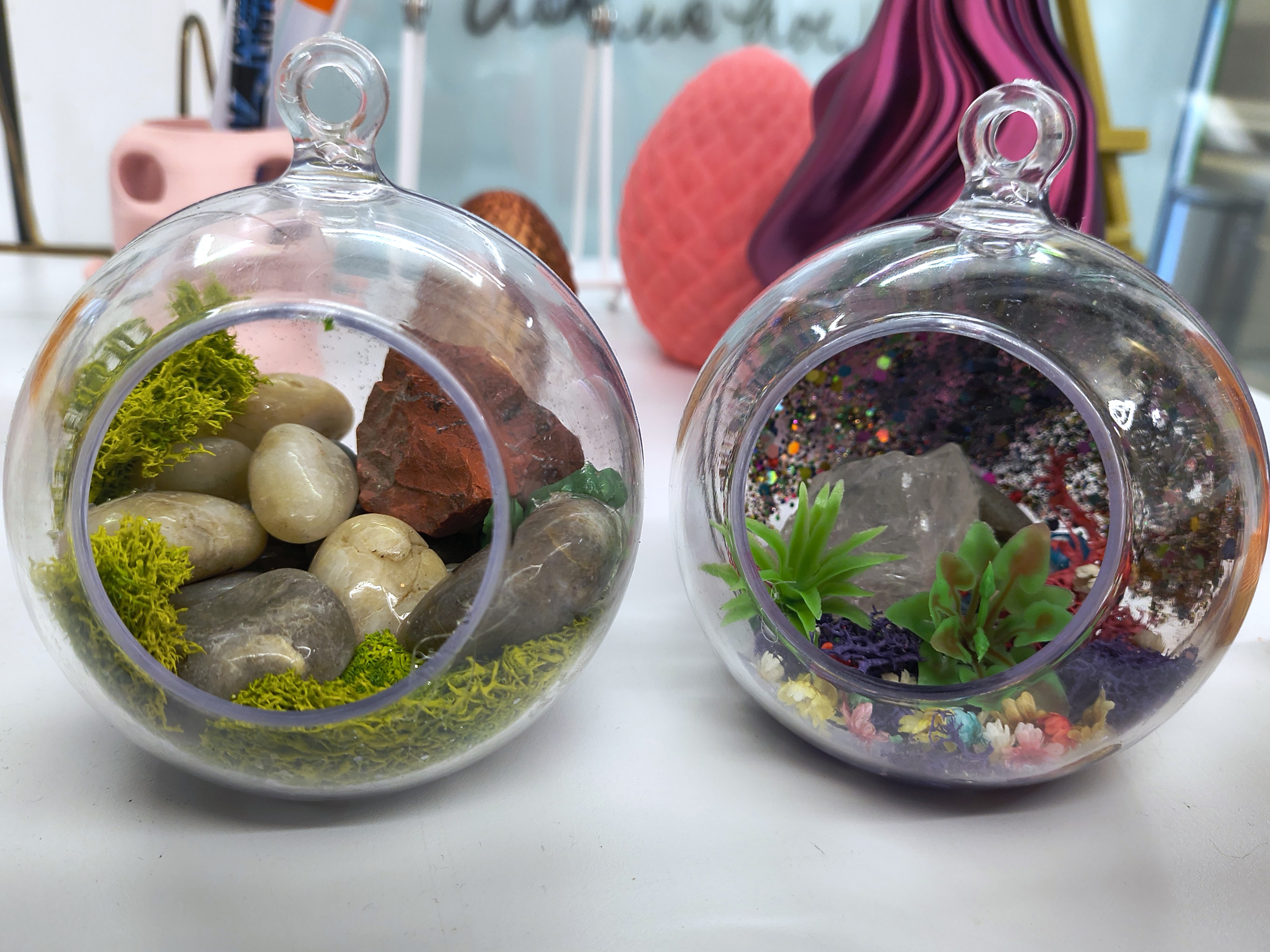 photograph of two small terrariums