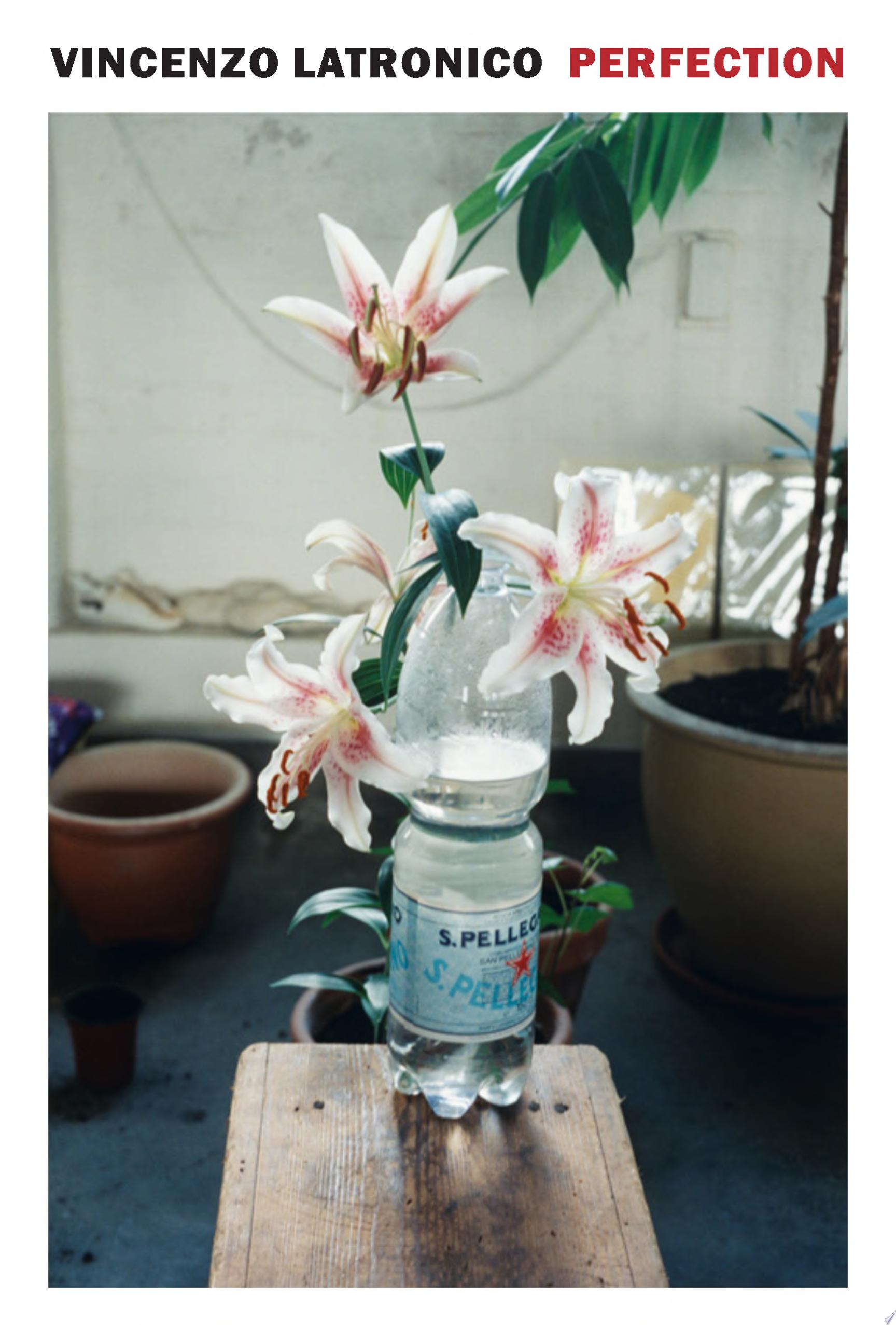 Image for "Perfection"