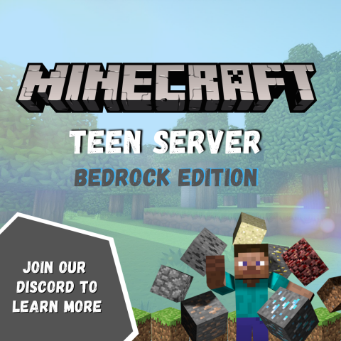 Teen Minecraft Server Advertisement