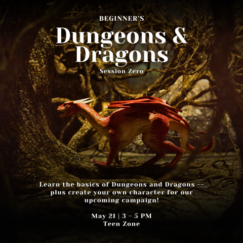 Dungeons & Dragons in the Teen Zone at the Main Library on May 21st