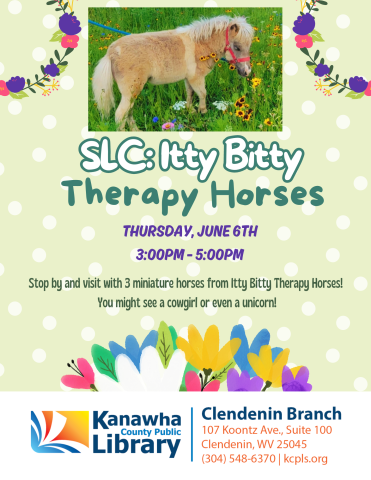 itty bitty therapy horses cn