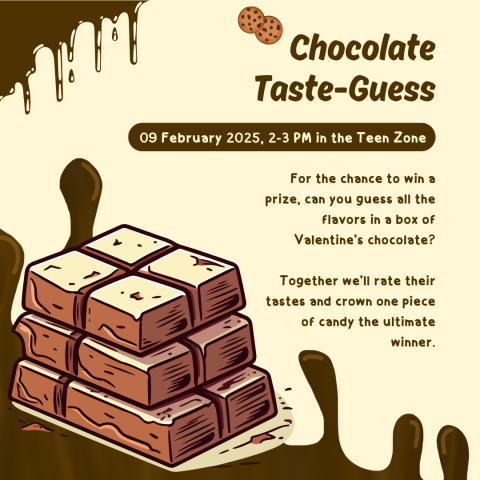 Chocolate taste test and guessing program image