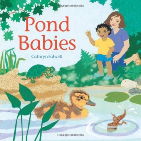 Pond Babies by Cathryn Falwell