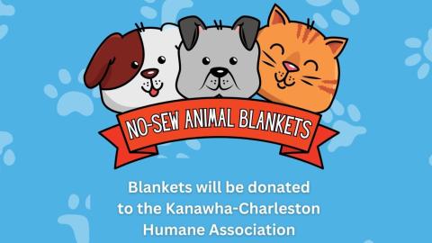"No-Sew Animal Blankets." This image shows a blue pawprint background with three smiling cartoon cats and dogs in the forefront.