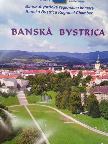 Colorful overview of Slovakian city Banska Bystrica
