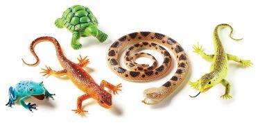 A variety of plastic reptiles.
