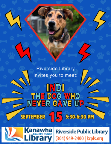 Indi The Dog Who Never Gave Up flyer