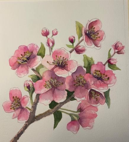 Watercolor painting example