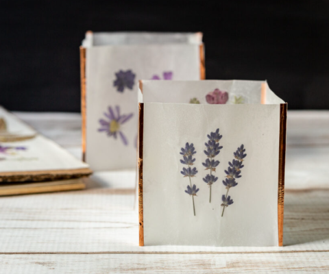 paper lantern made with pressed flowers, waxed paper, and craft sticks