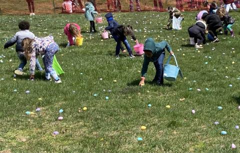 egg hunt
