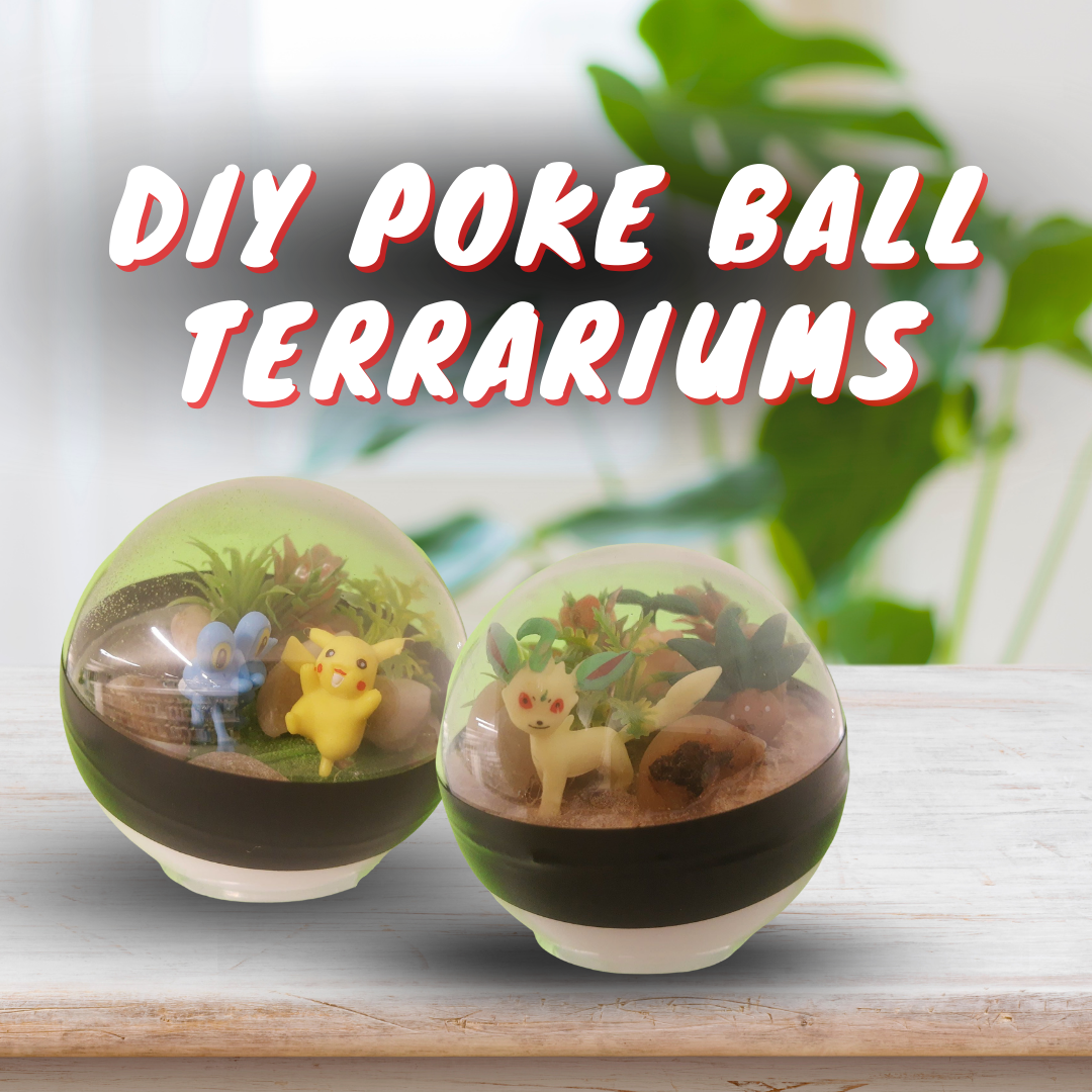 Poke Ball Terrarium advertisement. June 7th at 6:30pm.