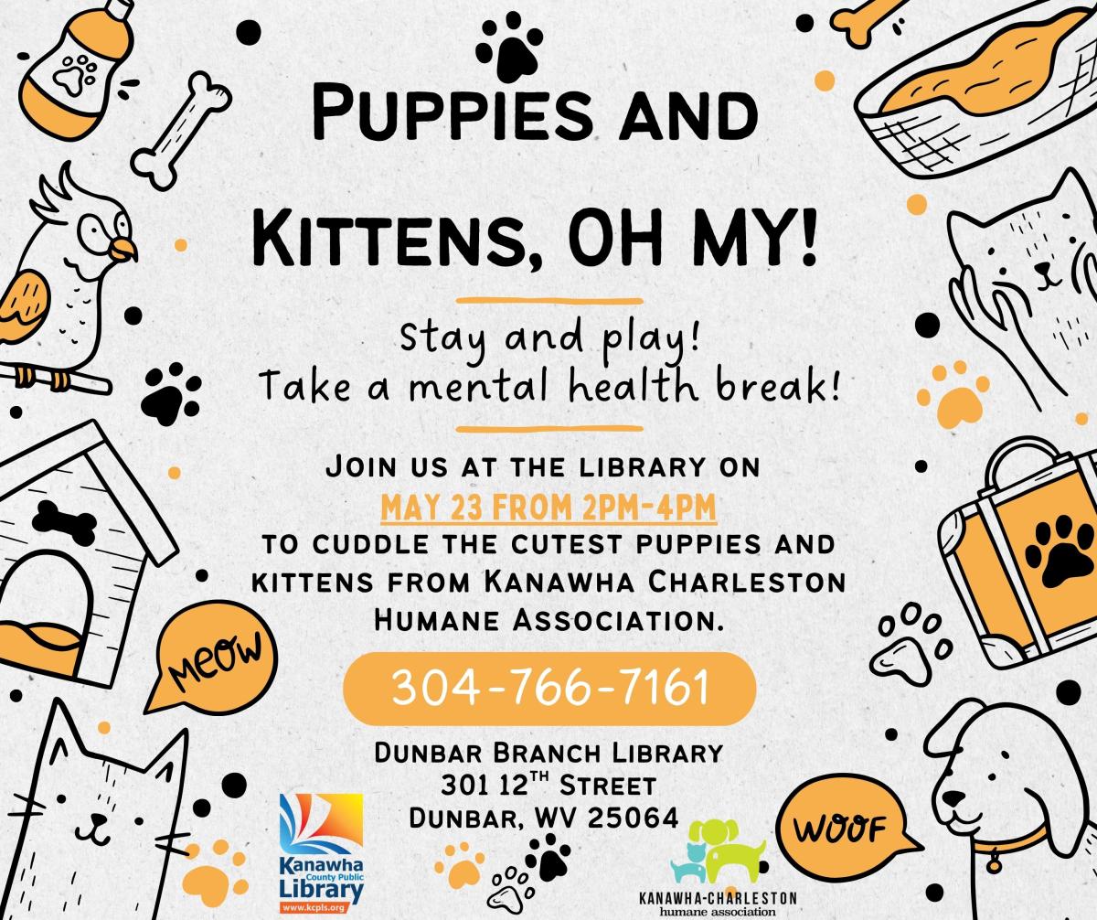 Puppies and Kittens oh my! flyer